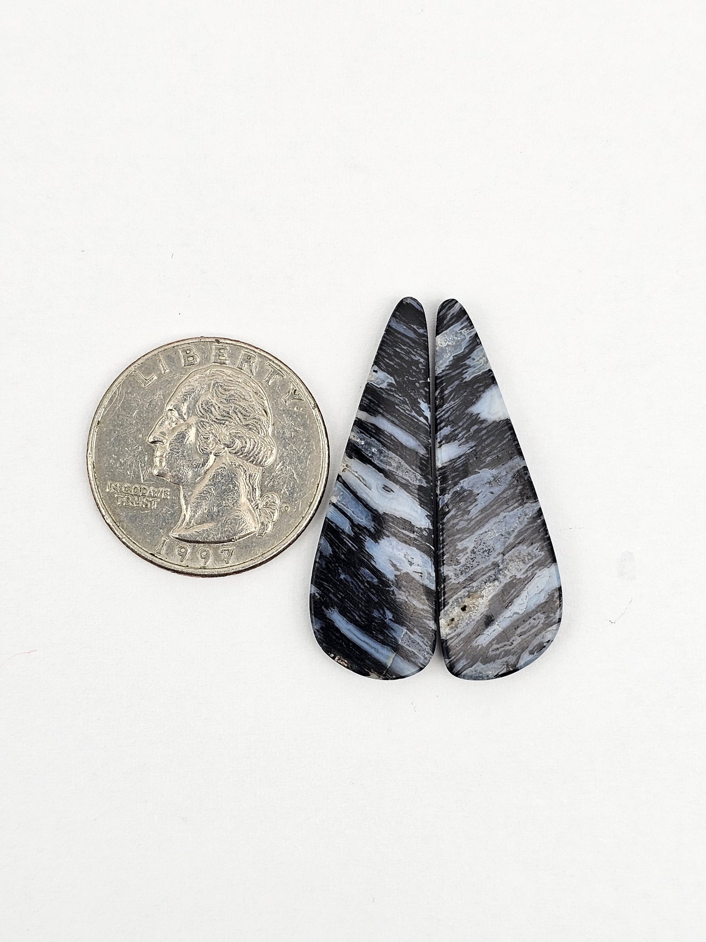 Fossilized dinosaur bone pair