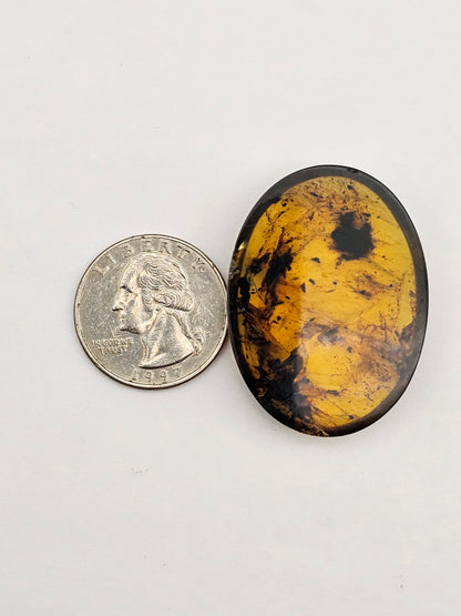 Amber authentic cabochon large