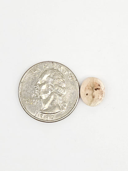 Mexican Cantera Opal Cabochon | Natural Opal from Mexico