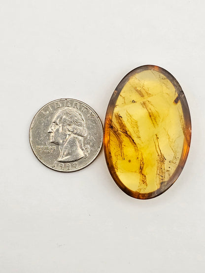 Amber authentic cabochon large