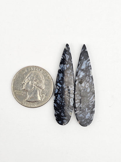 Fossilized dinosaur bone pair