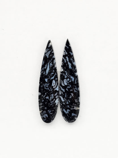 Fossilized dinosaur bone pair