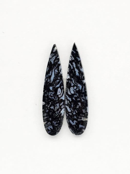 Fossilized dinosaur bone pair