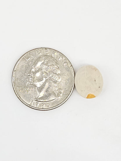 Mexican Cantera Opal Cabochon | Natural Opal from Mexico