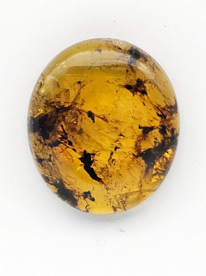 Amber authentic cabochon large