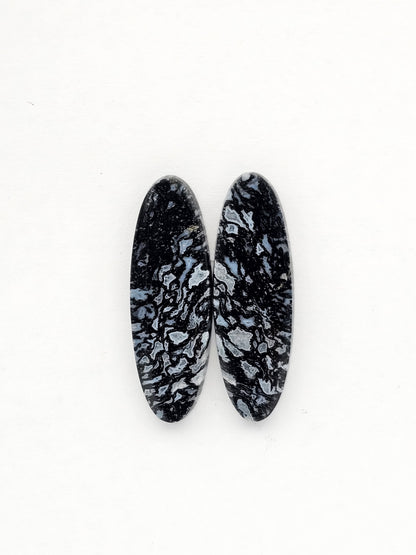 Fossilized dinosaur bone pair
