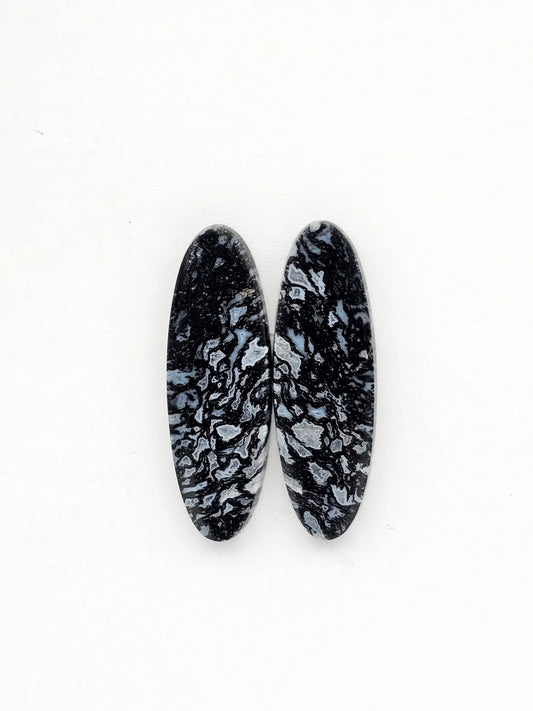 Fossilized dinosaur bone pair