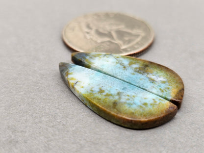 Blue opalized petrified wood Cabochon Pair