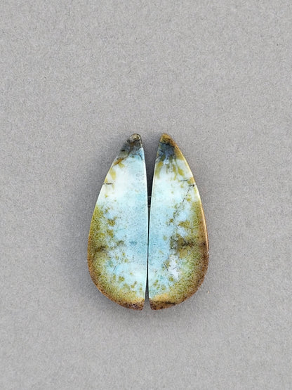 Blue opalized petrified wood Cabochon Pair