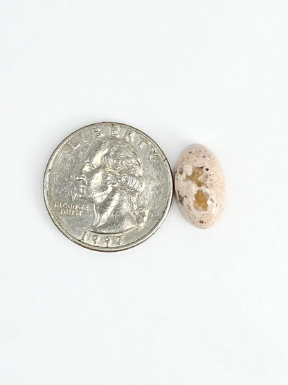 Mexican Cantera Opal Cabochon | Natural Opal from Mexico