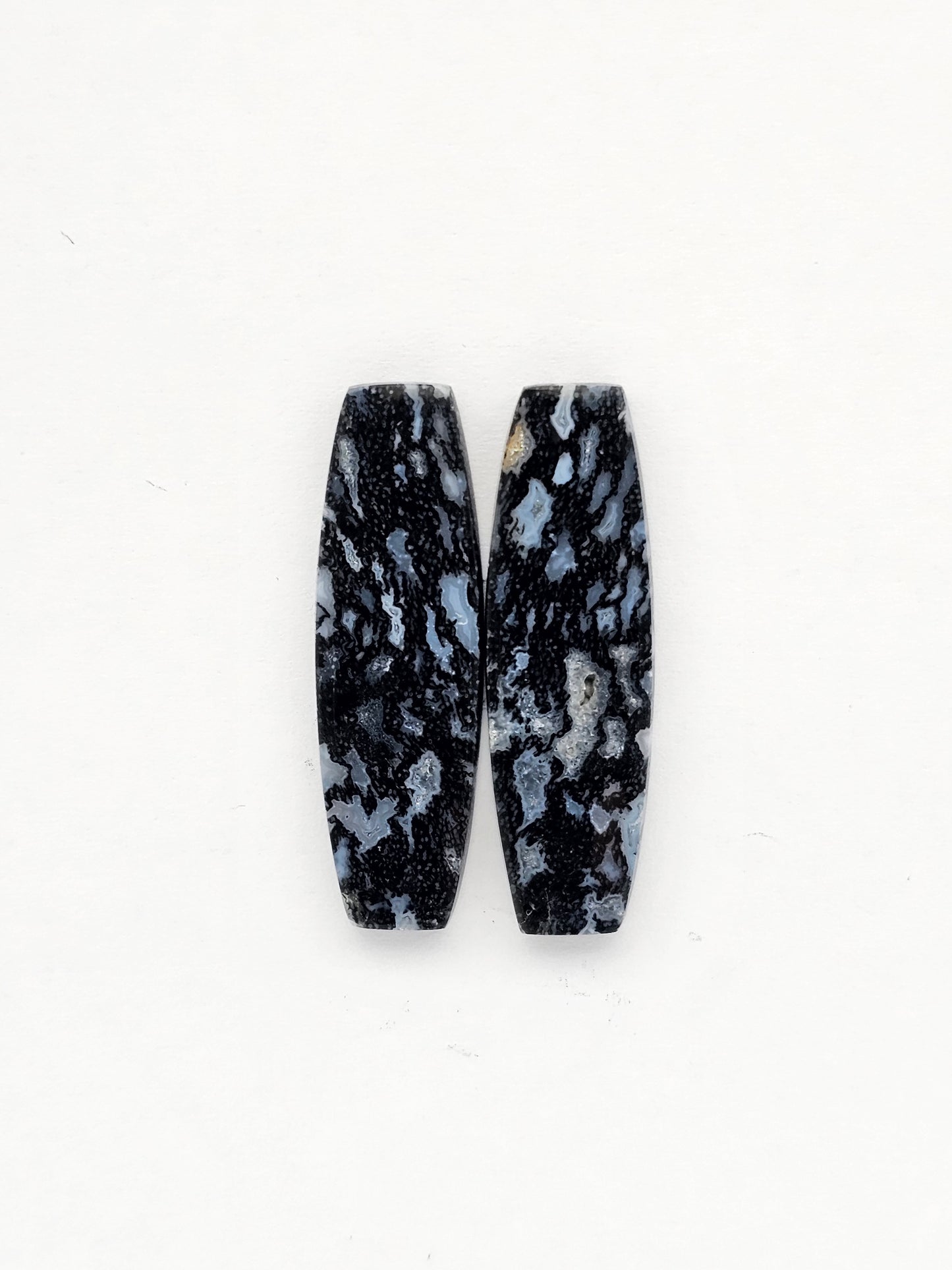 Fossilized dinosaur bone pair