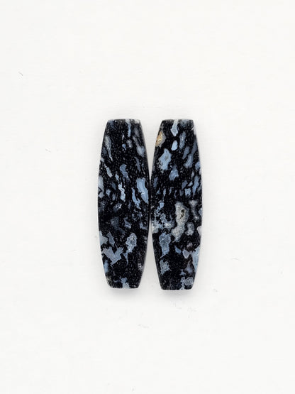 Fossilized dinosaur bone pair