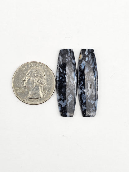 Fossilized dinosaur bone pair