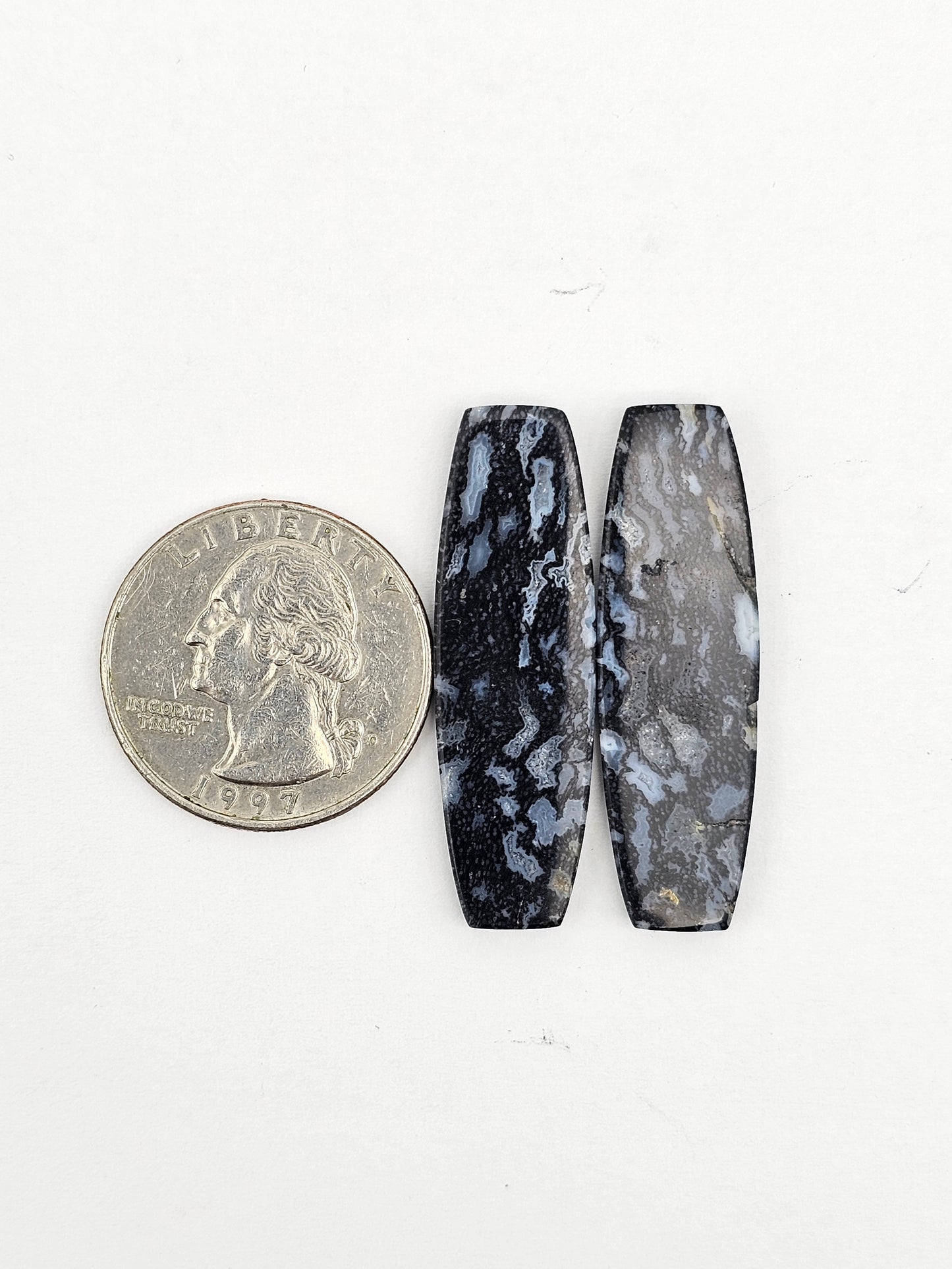 Fossilized dinosaur bone pair