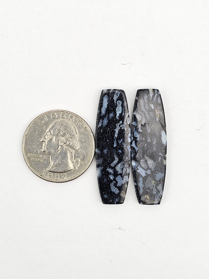 Fossilized dinosaur bone pair
