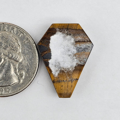 Tiger Eye Geometric Half Faceted Cabochon