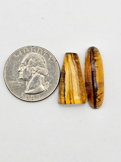 Amber authentic cabochon set large