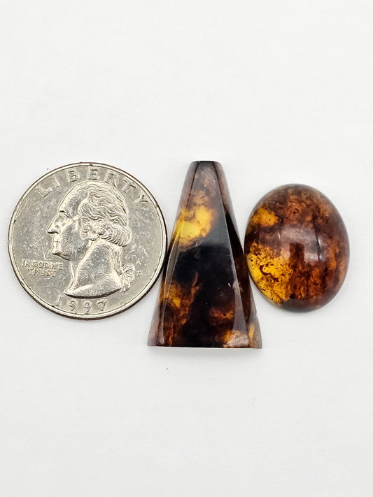 Amber authentic cabochon set large