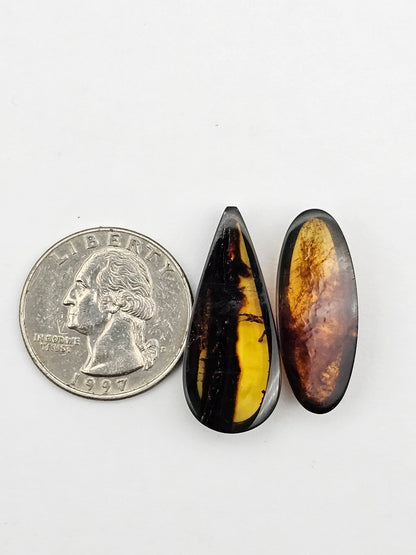 Amber authentic cabochon set large