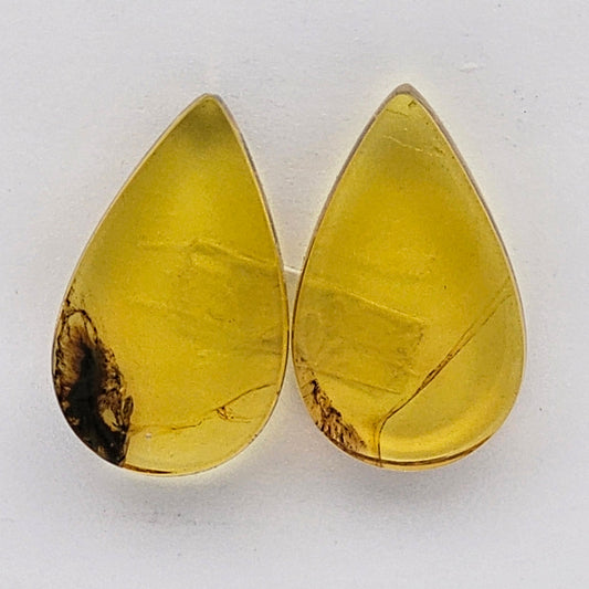 Amber authentic cabochon pair large