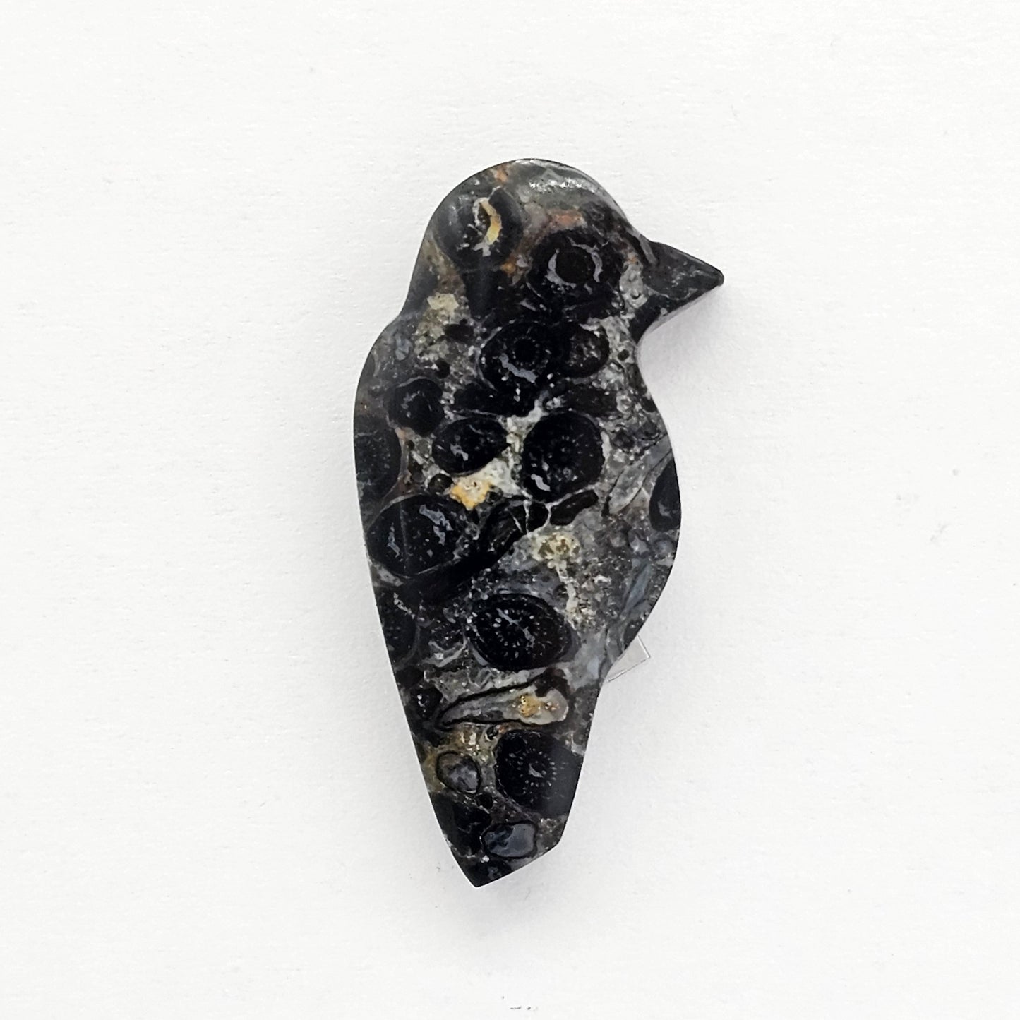 Fossilized Dinosaur Bone Bird Cabochon