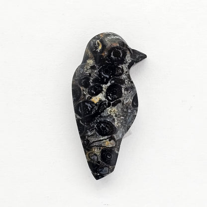 Fossilized Dinosaur Bone Bird Cabochon