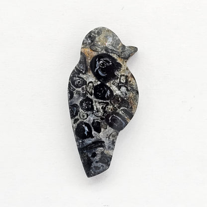 Fossilized Dinosaur Bone Bird Cabochon