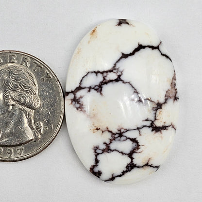 Magnesite Cabochon