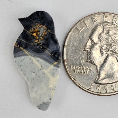 Maligano Jasper Bird Cabochon
