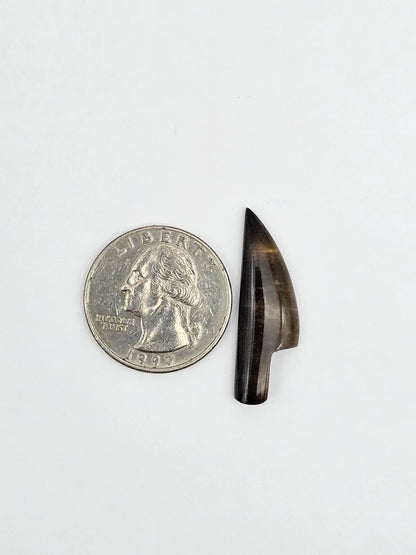 Petrified palm root knife cabochon