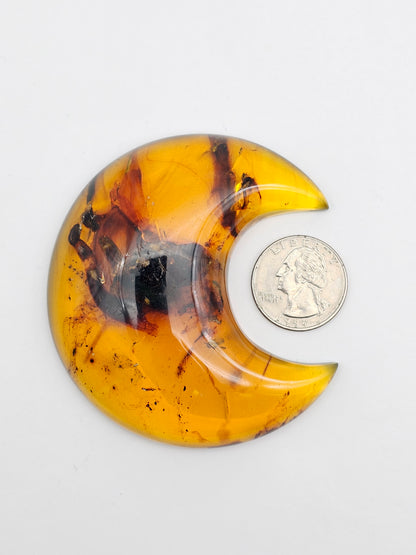 Amber authentic moon cabochon large