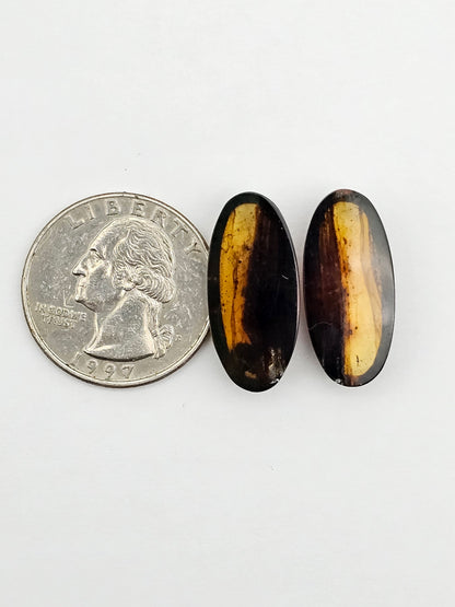 Amber authentic cabochon pair large