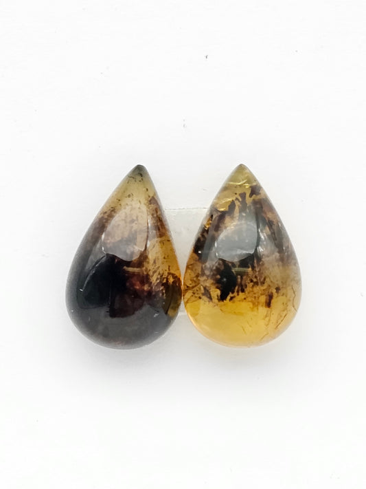 Amber authentic cabochon pair large