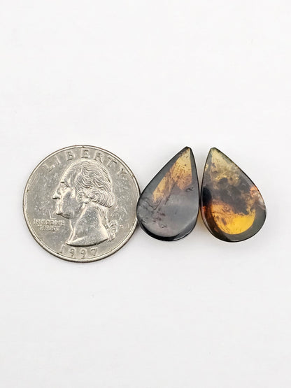 Amber authentic cabochon pair large