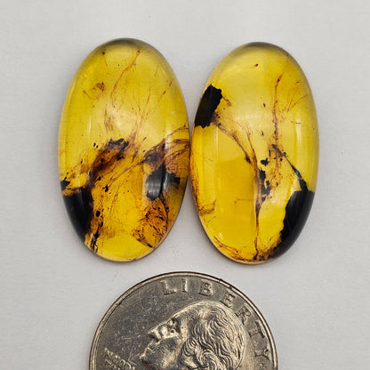 Amber authentic cabochon pair large
