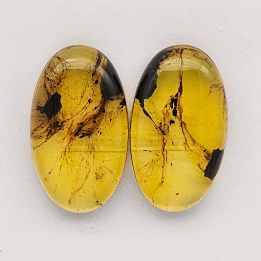 Amber authentic cabochon pair large