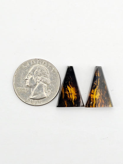 Amber authentic cabochon pair large