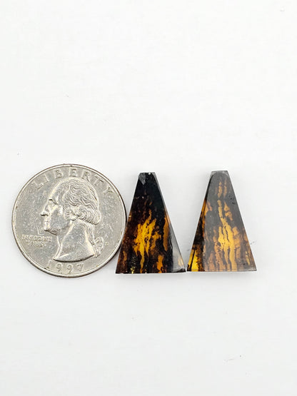 Amber authentic cabochon pair large