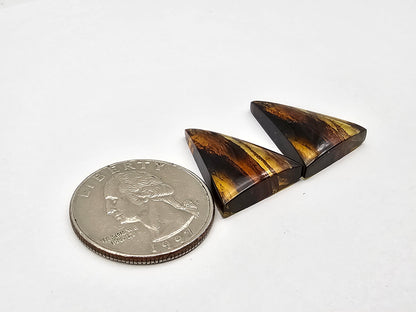 Amber authentic cabochon pair large