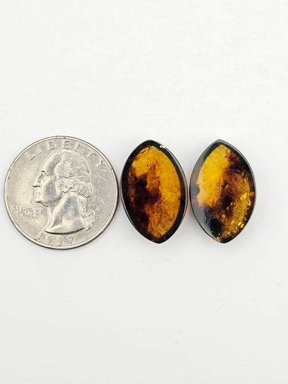 Amber authentic cabochon pair large