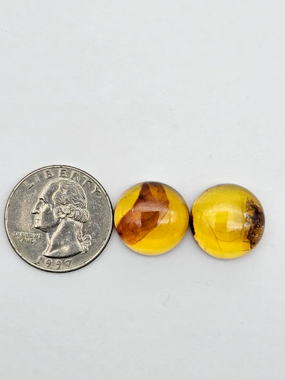 Amber authentic cabochon pair large