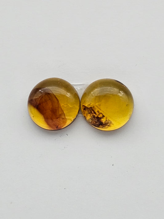 Amber authentic cabochon pair large