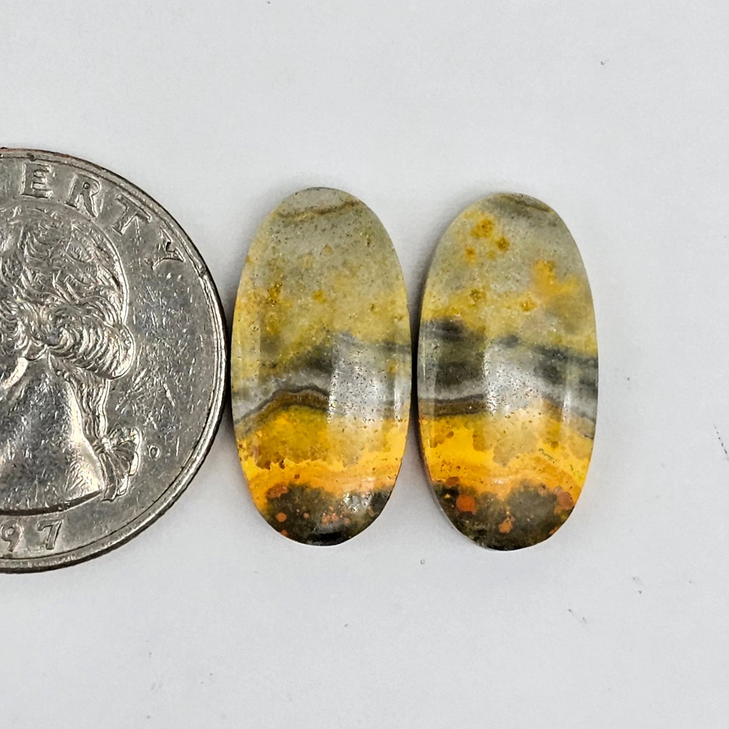 Bumblebee Jasper Cabochon Pair