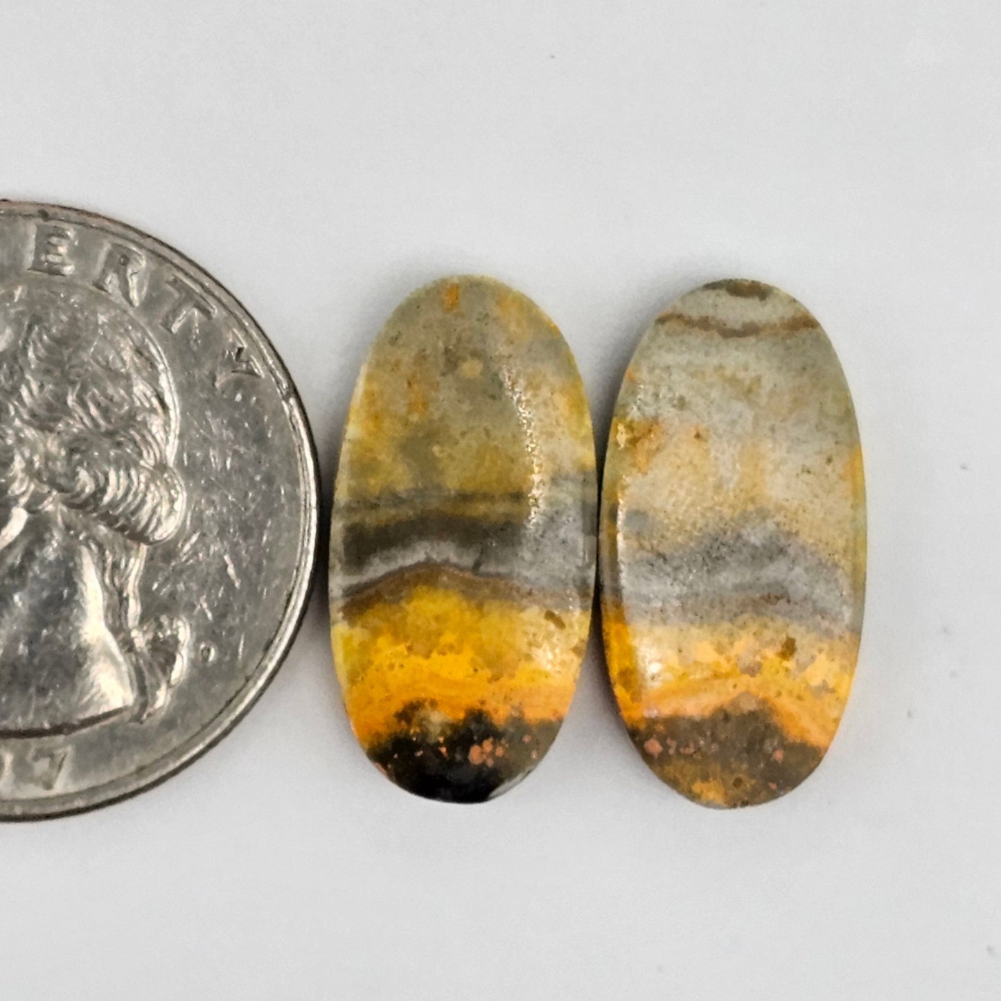 Bumblebee Jasper Cabochon Pair
