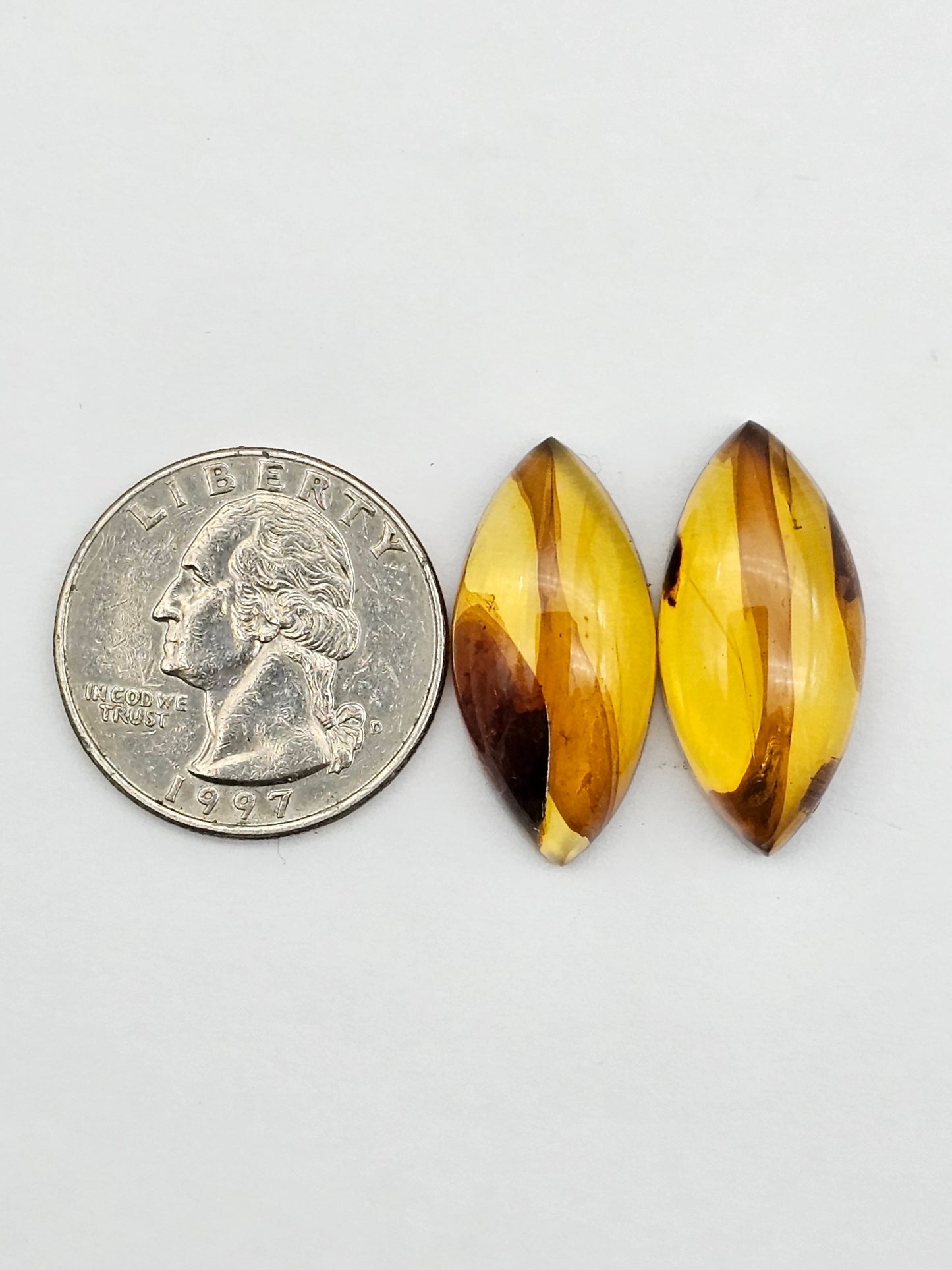 Amber authentic cabochon pair large