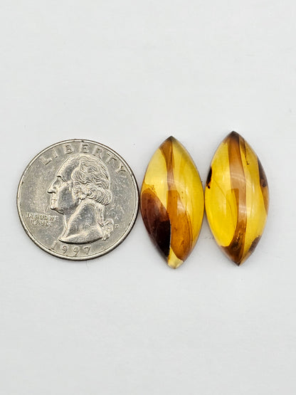 Amber authentic cabochon pair large