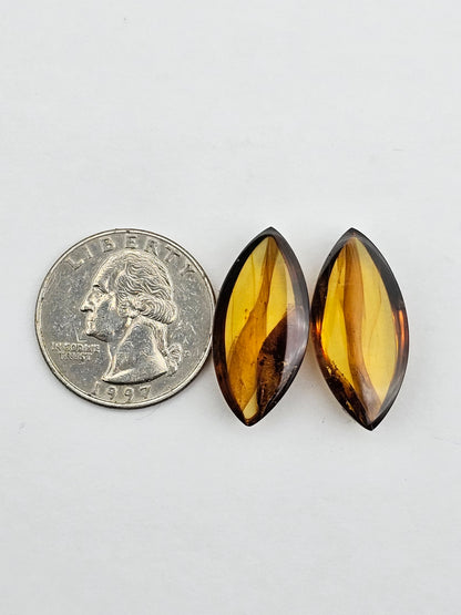 Amber authentic cabochon pair large