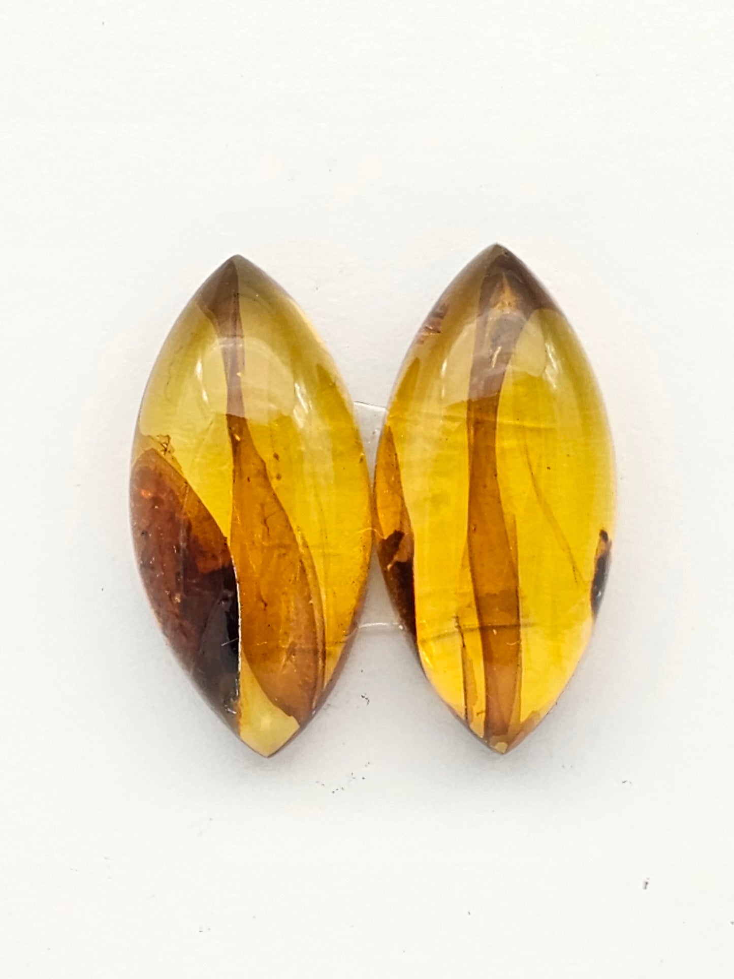Amber authentic cabochon pair large