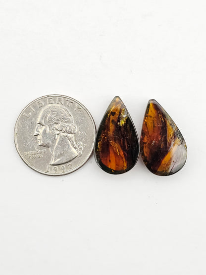 Amber authentic cabochon pair large