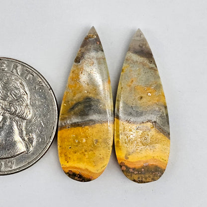 Bumblebee Jasper Cabochon Pair